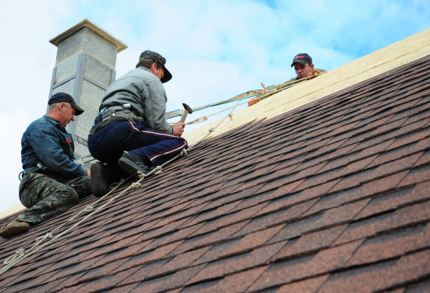Best Local Roofing Companies  in Bruceville Eddy, TX